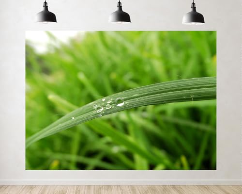 Trykid 10x8ft Fresh Dewy Green Grass Backdrop Natural Water Drop