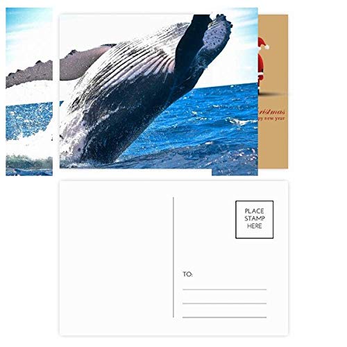 Cartes de remerciement baleine océan : le lot de 20 pour accompagner vos cadeaux