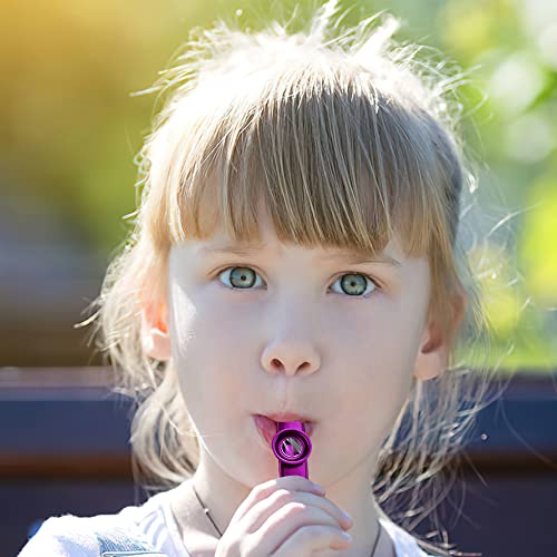 Kazoo, FainFun 6 Lot Kazoo Métal, Kazoo Métal avec 30 Diaphragmes, Kazoo Instrument pour Enfants et Adultes, Kazoo Pour… - Les Beatles, Paul McCartney, John Lennon, RIngo Starr, George Harrison Kazoo, FainFun 6 Lot Kazoo Métal, Kazoo Métal avec 30 Diaphragmes, Kazoo Instrument pour Enfants et Adultes, Kazoo Pour… – Image 8