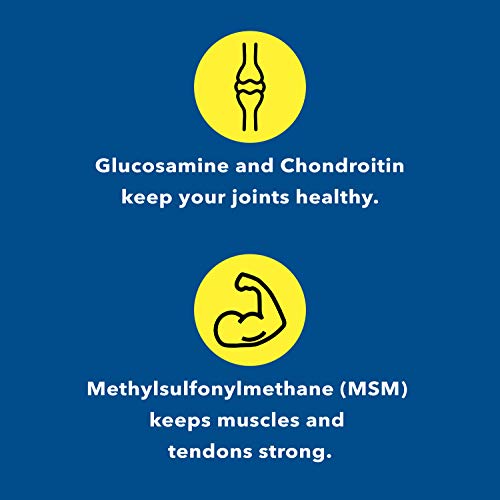 Healthy Joints System Glucosamine Chondroitin Msm Supplement For Joint And Bone Health - 180 Tablets #TOP2