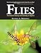 Flies: The Natural History and Diversity of Diptera
