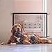 Magic Gate for Dogs, Pet Doorway Gate, Dog Mesh Door Screen Gate, Pet Safety Guard Gate Outside Doorway Gate for Stairs, Outdoor and Doorways Pet Isolation Fence No Drill As Seen As On TV（ One Rod