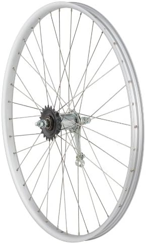 DAMCO Double Wall Rear Wheel - 26 x 1 3/8 - Coaster Brake - Silver A