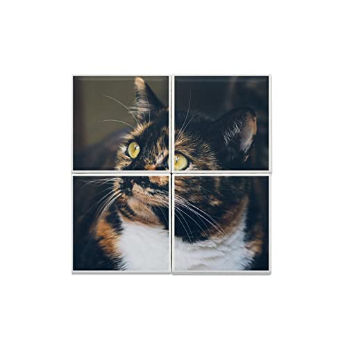 Carreaux céramique chat calico 20x20cm pour décoration murale de salon