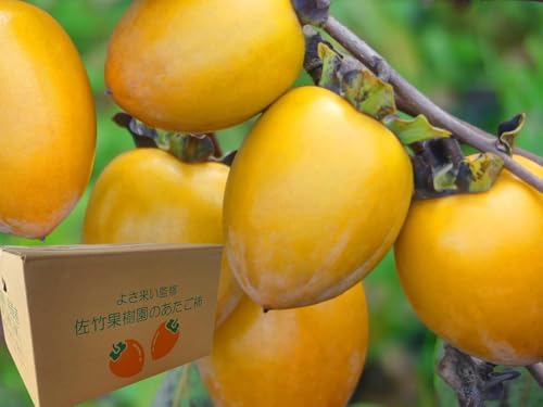 `  ` a` `pa` s|ʎ̂`t ` K 20kg ʌik`RkTCYj 悳ďC Q OY ` p a` }ta` ` 邵` ۊ` 炵`p yK ` QOLz