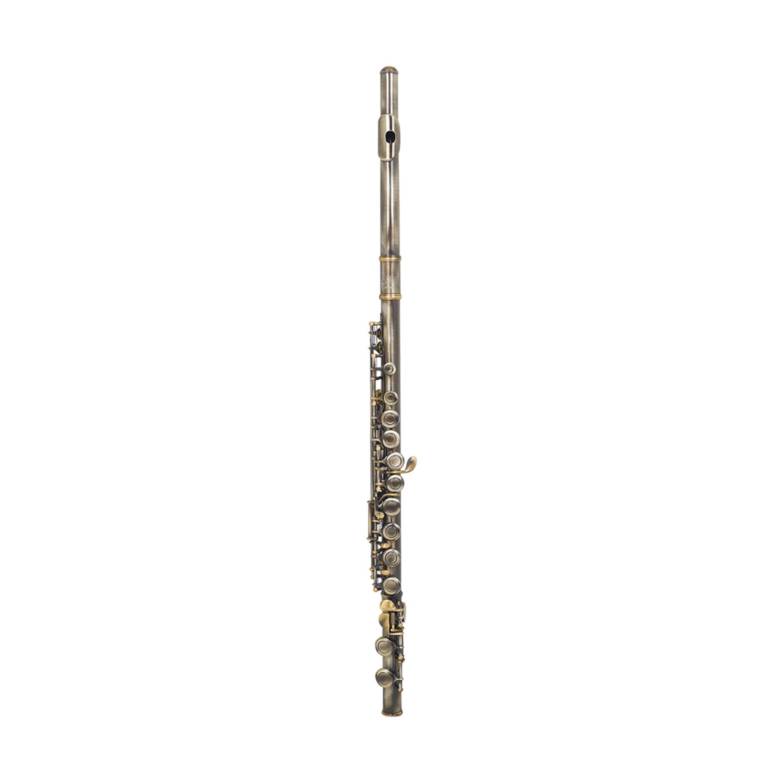 Flauto traverso Professionale con Chiave in Do a 16 Fori Chiusi e Aperti, Strumento da Concerto per Principianti e Bambini