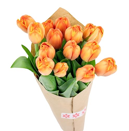 Stargazer Barn Pumpkin Spice Orange Tulips Fresh Flowers Bouquet - Overnight Prime Delivery, Fresh Cut Flowers for Longer Life - Bouquet of Flowers Gift For Fall, Thanksgiving, Halloween - 15 Stems