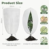 Velway B0FH6TLMKZ lato 2