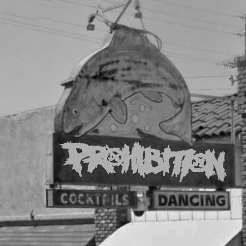 Prohibition: Drunken Anti-Drinking Songs - A Chat with Liam & Cannon