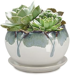 Dahlia 5.5'' Inch Rustic Drip Glazed Ceramic Planter/Succulent Pot/Plant Pot w. Saucer/Tray, White