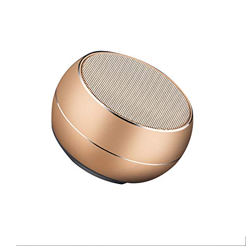 SXXDERTY Altavoz Bluetooth, Altavoz estéreo portátil, 8 Horas de reproducción con Supergraves, Soporte para Tarjeta SD, Micrófono Integrado, Altavoz inalámbrico Inteligente para el hogar