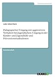 Pädagogischer Umgang mit aggressivem Verhalten bei Jugendlichen. Umgang in der Kinder- und Jugendhilfe und Präventionsmaßnahmen
