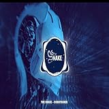  Robotronik (Extended Version)