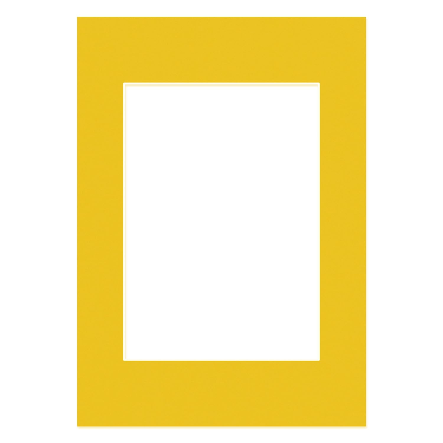 Alison Kingsgate 90x60cm Bright Yellow Picture Mount for 60x40cm Aperture — image 1
