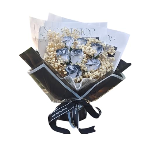 MAIBED  o J[l[V  񂰑ܕt \[vt[ u[P t[AWg o^Cf[ ̓ v[g (B) [sAi]