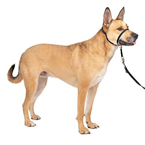 PetSafe Black Gentle Leader No-Pull Dog Headcollar, Medium