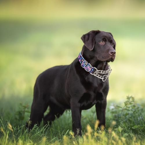 Collier martingale acier inoxydable pour chien motif floral violet protecteur XL - 3