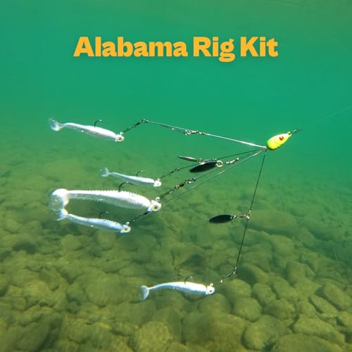 Image of Alabama Rig (A-Rig) Fishing Lures Kit - 2 Rigs, 10 Jig Heads & Swimbaits, Tackle Box for Striper /Bass Fishing