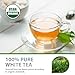 Soeos Organic White Tea, 100 Tea Bags, Pack of 2, Total 200 Teabags, Individually Wrapped Teabags, Low Caffeine, Subtle Floral Aroma & Smooth Taste, Quality Tea for Everyday Brewing, Perfect for Hot or Iced Tea Lovers, 6.3oz (180g) of Each