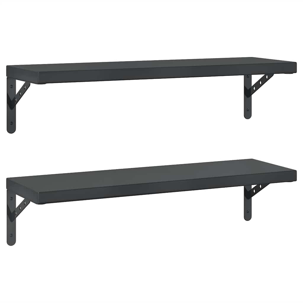 Étagères Murales Lot de 2 75x23,5 cm Noir Acier Inoxydable Salon