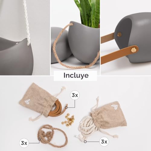 Miniatura 2 de 