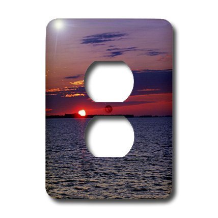 Plaque pour 2 prises de courant Violet Passion 3dRose finition haut de gamme 15,2 cm