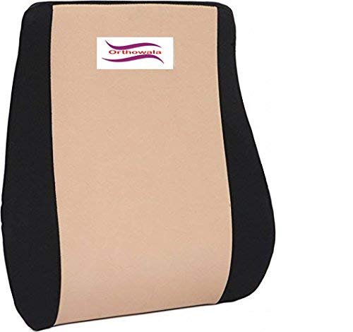 Backfit ® - Backrest for Chair/Car/Dinning Chair, Sofa etc - Gold Series- Ideal for Chair Sofa & car Chair Back Support -Full Size (Black and Brown) (B0CHFXDJ1C) Amazon Price History, Amazon Price Tracker
