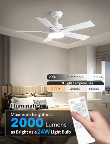 Image of Rayqueen 42 Inch White Ceiling Fans with Lights and Remote,Includes Downrod