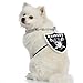 Littlearth NFL Pet Fain Chain Las Vegas Raiders