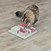 TRIXIE Cat Activity Poker Box Strategy Game – Interactive Puzzle Toy with 4 Modules – Treat Puzzle Feeder for Mental Stimulation & Slow Feeding – Pink/Gray, 12.2 x 12.2 x 2.5 in