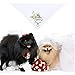 LAIYOHO Hunde-Bandanas My Humans Are Getting Married Pet Bandanas Hochzeits-Bandana Hochzeits-Haustier-Bandana-Schal mit eleganten Blumenblättern Rautenmustern für Hunde-Katzen-Liebhaber