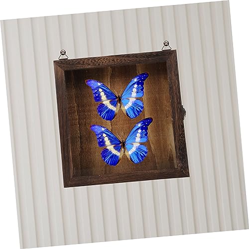 NOLITOY Espécime Recipiente Vitrine De Madeira Flores Secas Estilo Chinês Concha