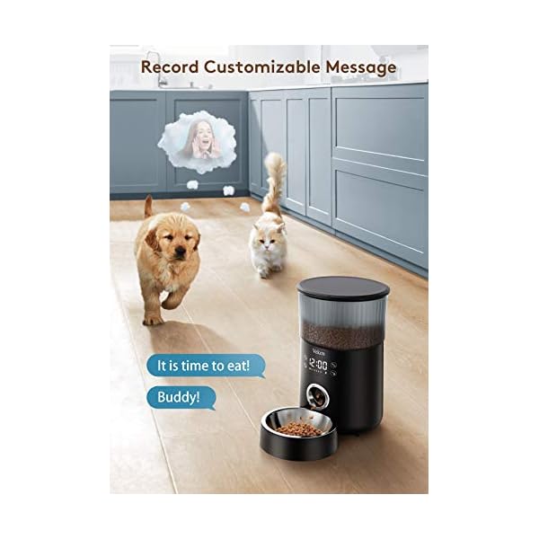 Veken Automatic Cat Feeder, 135oz/4L Dog Feeder Pet Food Dispenser with