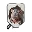Hippo