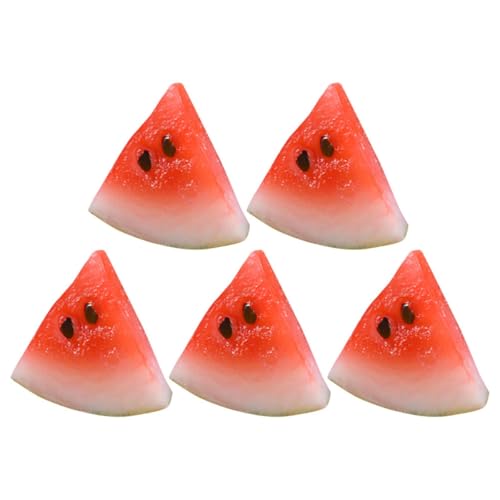 GLSTOY 5 ~j`AZXCX AȐt[cf h[nEXp~j DƌV~[Vt[c