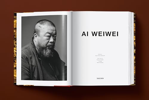 Ai Weiwei Updated Edition comprendre art contemporain simplement - 4