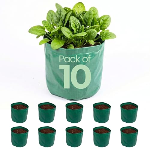 Image of Bio Blooms Round HDPE Grow Bag for Terrace & Kitchen Gardening | Pack of 10 | 18x12 | 340 GSM Heavy Duty Outdoor Planter for Vegetables, Flowers & Plants (Olive Green)
