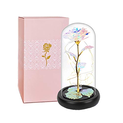 Rose Fleurs Artificielles Eternelle sous Cloche La Belle et la Bête Rose Dôme en Verre Rose Enchantée avec Lumières LED pour Mariage d'anniversaire de la Saint-Valentin Noël Cadeau de Fête des Mères Cover