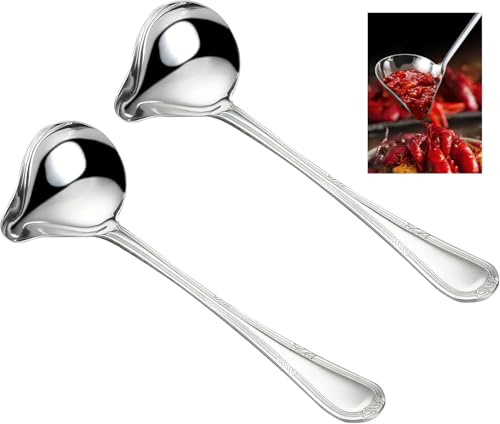 DAKLUNAR 2 stuks sauslepels van roestvrij staal, soeplepel, zilverkleurig, 20 cm, sauslepel met schenktuit, kleine sauslepel voor dressings, soepleaus, braadsauzen, kleine soeplepel voor stijlvol