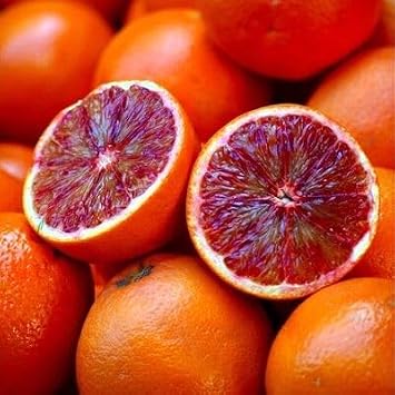 Moro Orange Red Fruit Seeds 60pcs