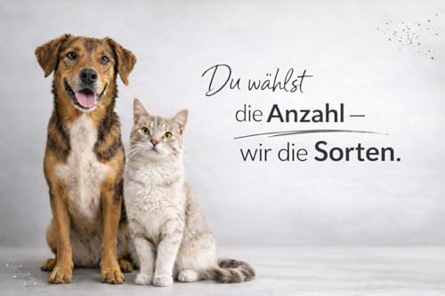 Miamor Feine Filets Naturell Mixpaket | 12 x 80g | Katzenfutter Nassfutter Dose | Filet Huhn & Thunfisch | fettarm | garantierter 10 Sorten Mix-2
