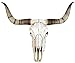 Produktbild Veronese Design Bullenschädel Longhorn Schädel Skull Totenschädel Schädel Geweih Figur