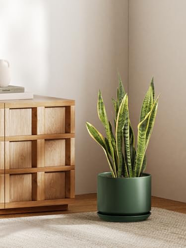 LE TAUCI Ceramiczna Doniczka 25 cm z Otworem Drenażowym i Podstawką, Duża Stabilna Doniczka do Roślin Domowych, Nowoczesna Osłonka do Salonu lub Biura, Leśna Zieleń