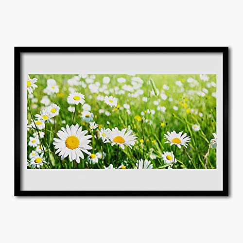 Affiche encadrée 70x50 cm marguerite avec cadre en MDF Tulup