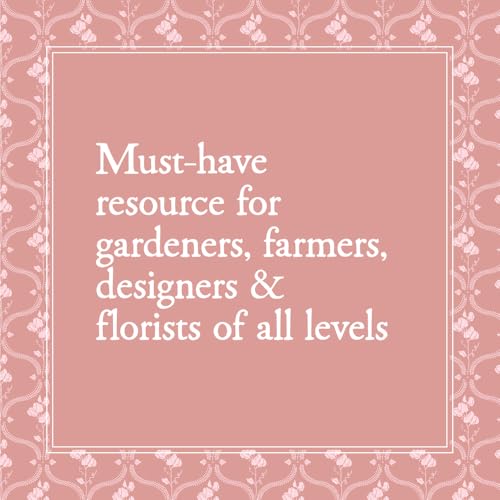 Sweet Pea School: Growing & Arranging the Garden's Most Romantic Blooms - Image 4