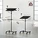 MAHANCRIS Podium Stand with Microphone Stand, Mobile Lectern and Laptop Desk with Storage Tray, 28.9-42.7 Inch Adjustable Height Portable Podium for Classroom, Conference Room, Black LPBK4001