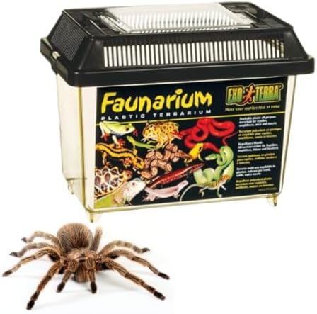 Exo Terra Faunarium Small PT2255 – Plastic Reptile Terrarium and ...