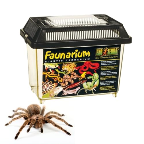 Exo Terra Faunarium, Plastic Reptile Terrarium, Small, PT2255