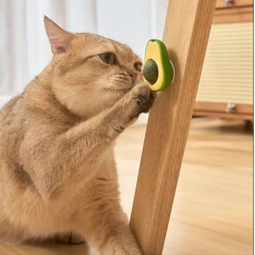Diversão Natural para Gatos - Bola de Lamber Abacate Catnip Erva Natural Calmante e Relaxante (P, Ab
