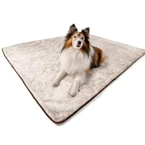 PupProtector Waterproof Throw Blanket for Dogs and Cats, Pet Blanket Cover for Couches, Sofas, Beds, Car Seats, Furniture, Calming Soft Faux Fur, White with Brown Accents, Original (60″ L x 50″ W)